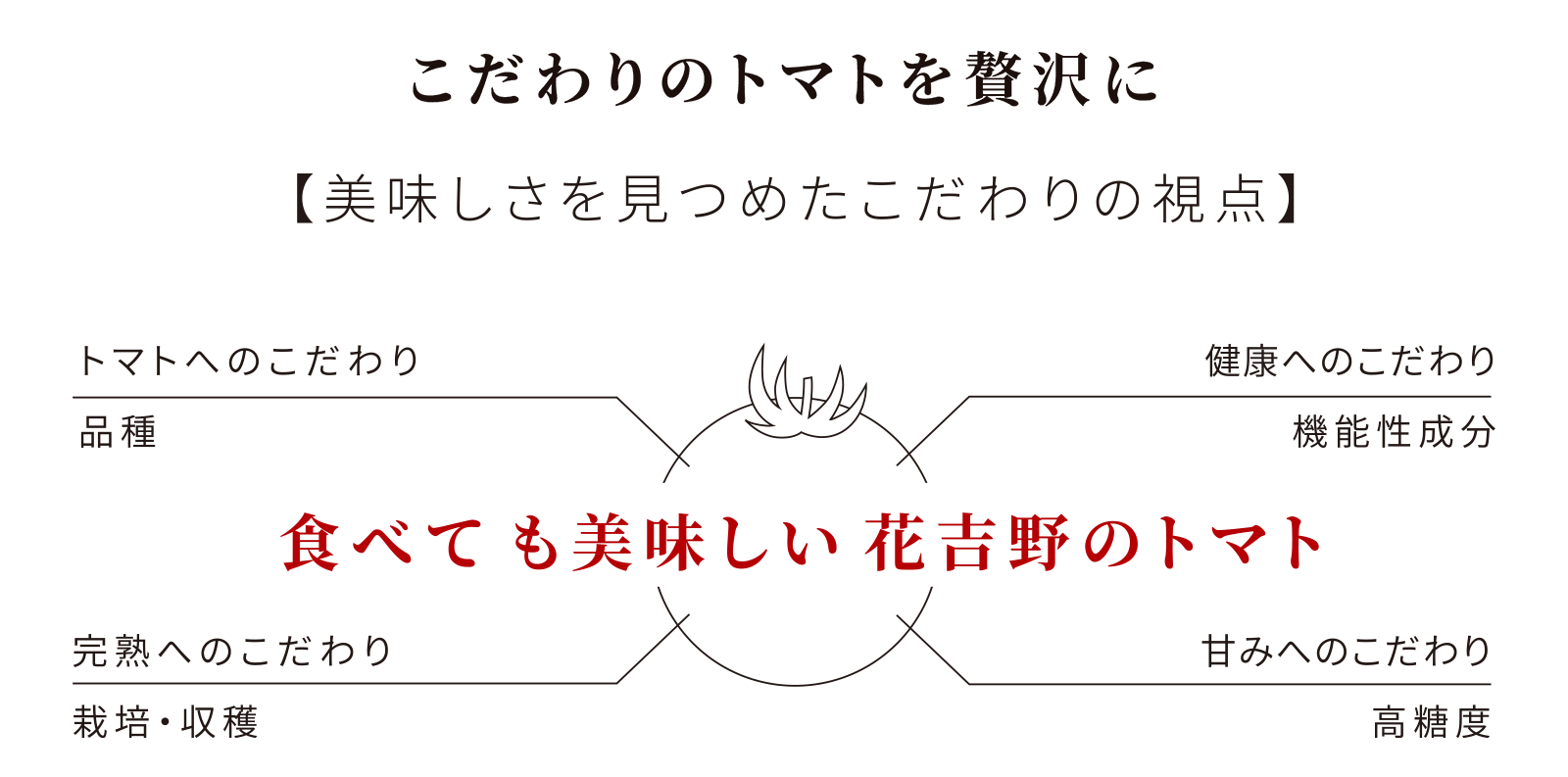 こだわりのトマト1