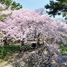 ローレルコート夙川北名次町