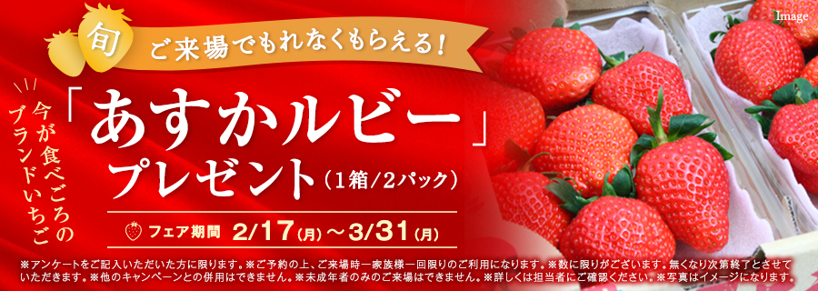 ご来場でもれなくもらえる！「あすかルビー」プレゼント 2/17~3/31