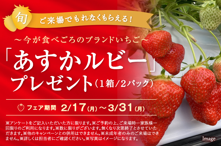 ご来場でもれなくもらえる！「あすかルビー」プレゼント 2/17~3/31
