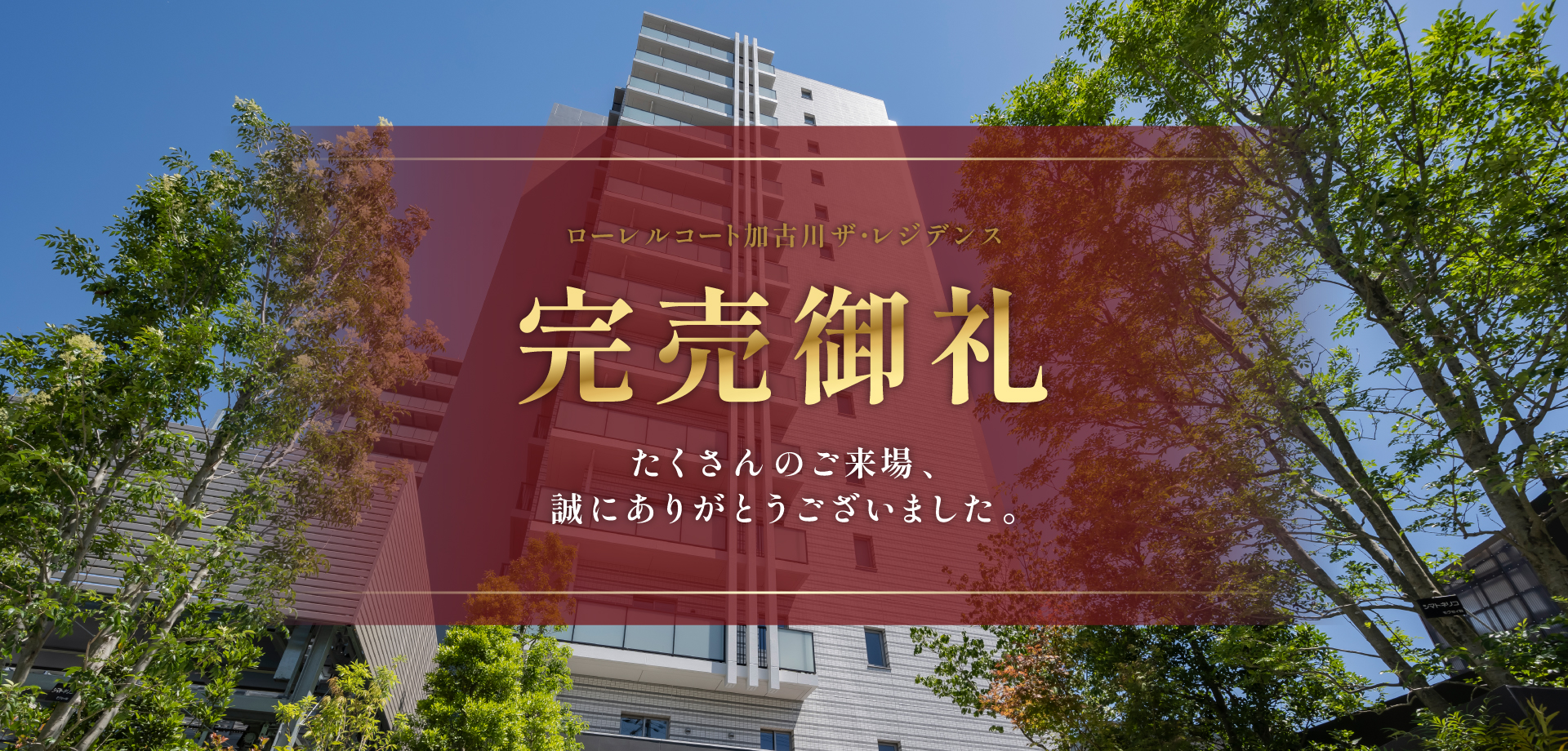 完売御礼 たくさんのご来場、誠にありがとうございました。