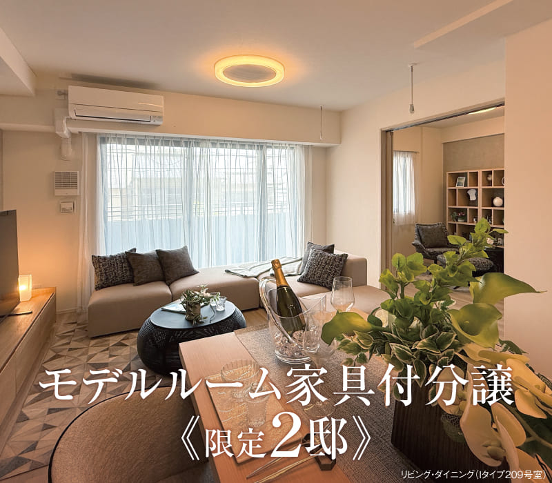 建物内モデルルーム公開(予約制)。