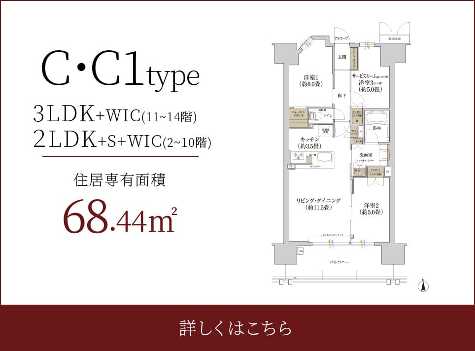 C・C1type