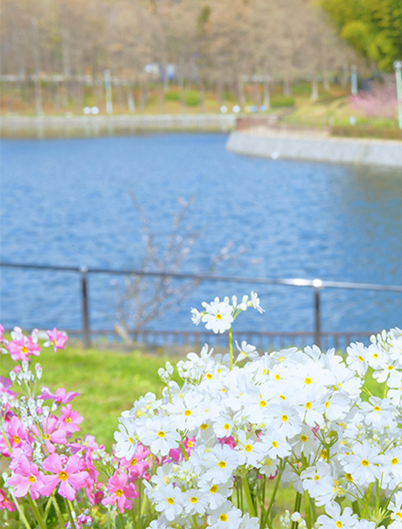 桃山公園（徒歩6分／約430ｍ）