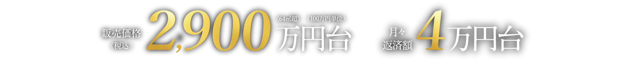 販売価格（税込）2,900万円台〈64㎡超〉（100万円単位）｜月々返済額4万円台