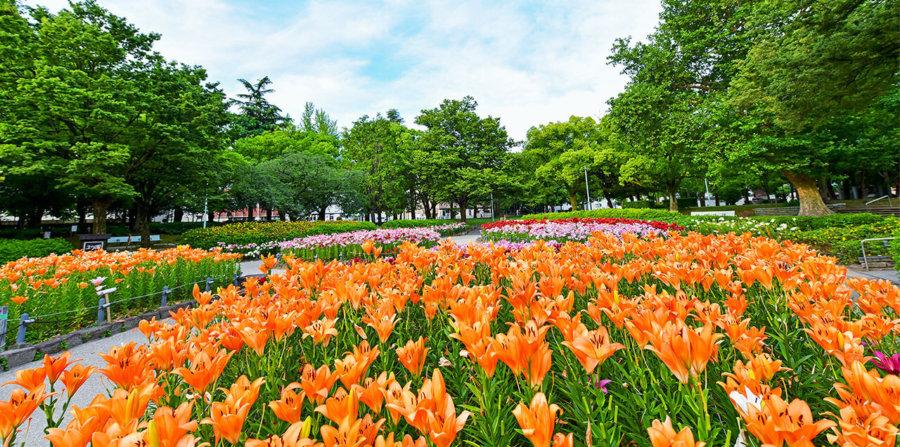 千種公園（徒歩9分／約660m）　image photo