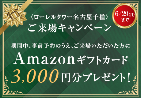 プレミアムプラン