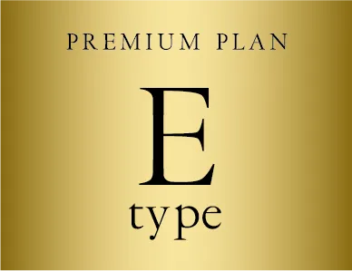 PREMIUM PLAN E type