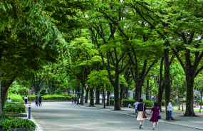 白川公園