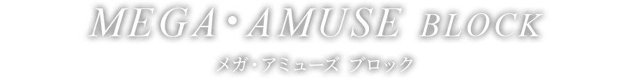 MEGA・AMUSE BLOCK