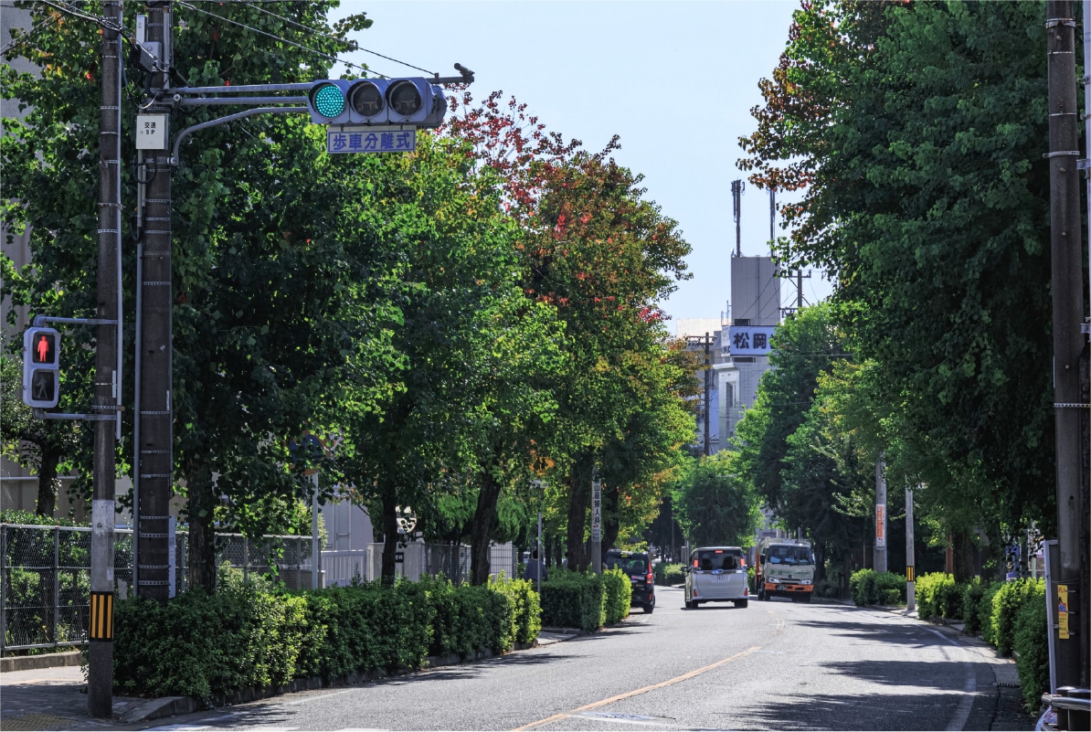 現地周辺街並｜公式／（仮称）ローレルコート星ヶ丘レジデンス｜名古屋市の新築分譲マンション