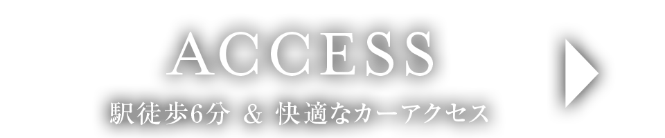 ACCESS