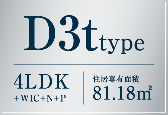 D3t type