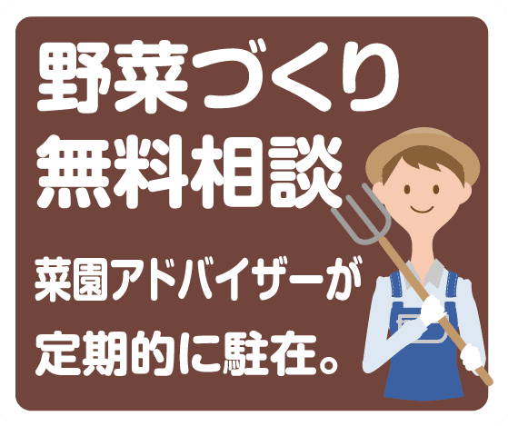 野菜づくり無料相談。菜園アドバイザーが定期的に駐在。