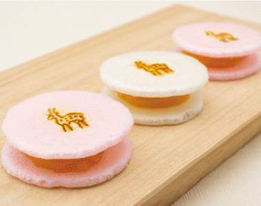 御菓子司千代乃舎竹村 野守の鏡（2個入り）