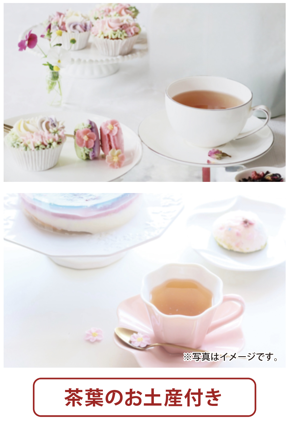 はじめての紅茶 ～季節のお菓子を楽しもう～