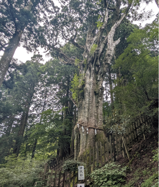 出かけてみたい奈良8〜11月編