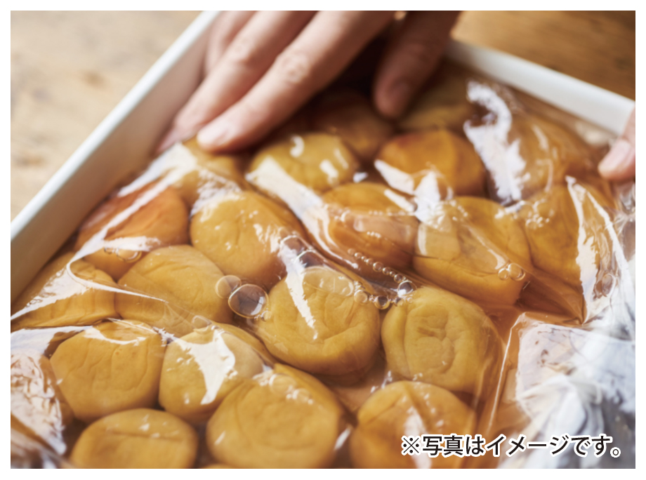 食のセミナー 初めての梅干し作り
