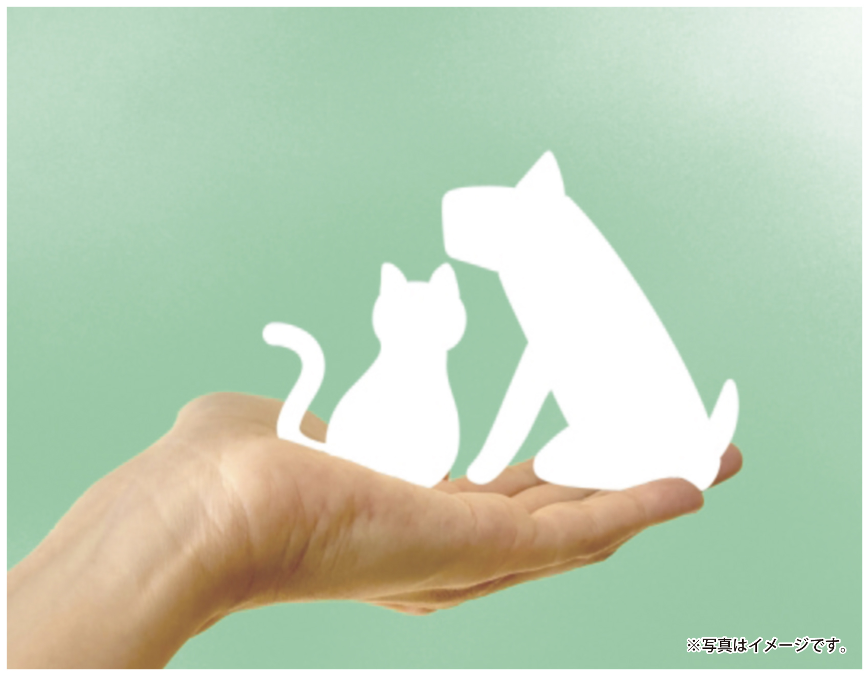 わんにゃん好きの貴方に向けて大人の絵本朗読会
