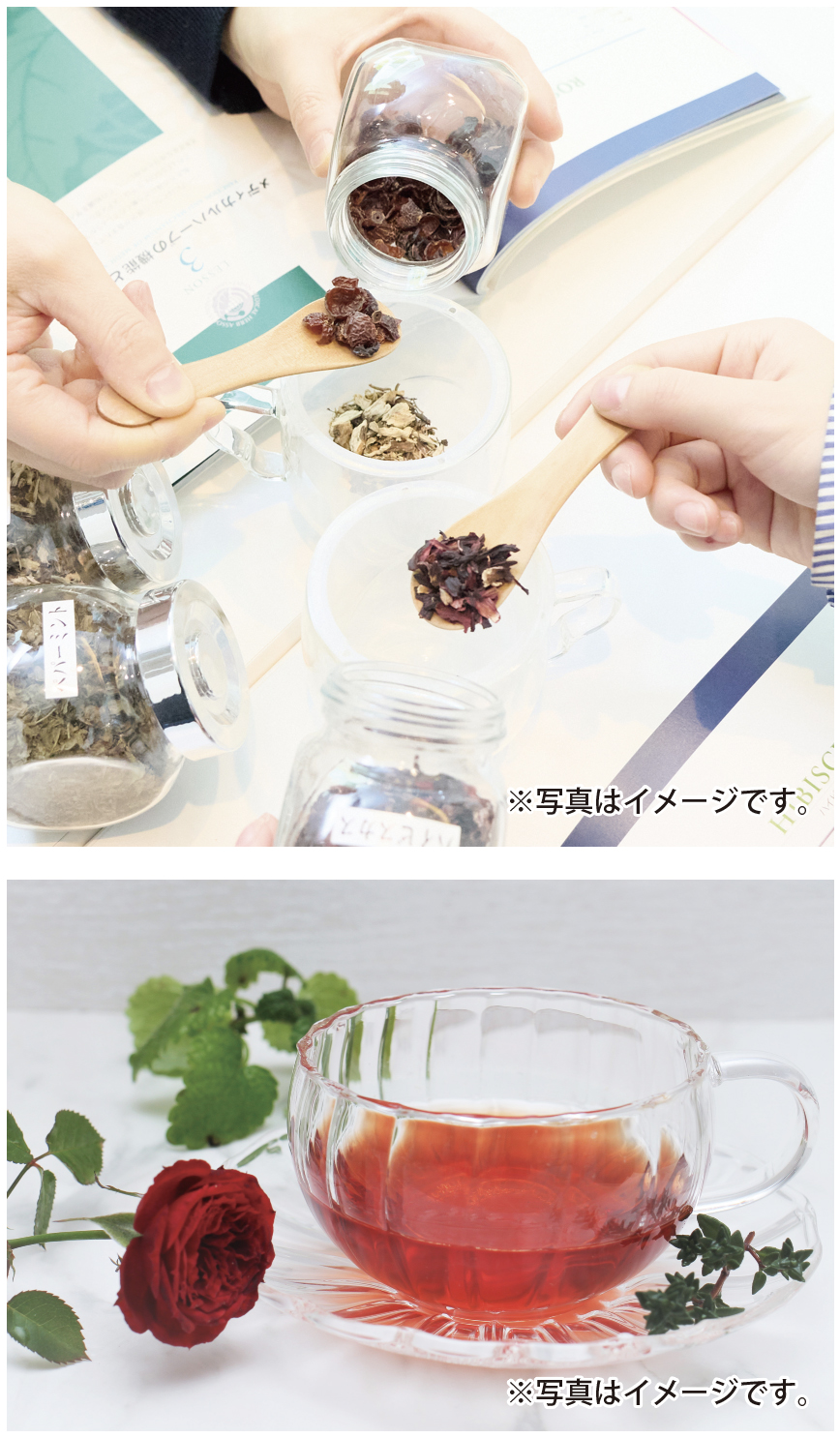 マイオリジナルハーブティーで秋の体調管理