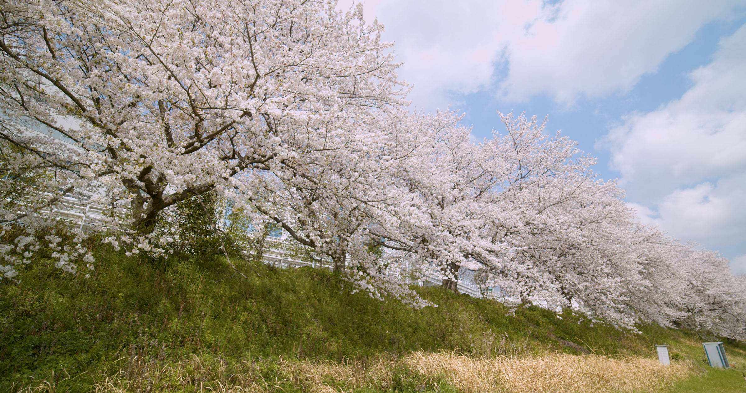 旭町スポーツ広場