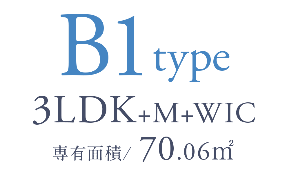 B1 type