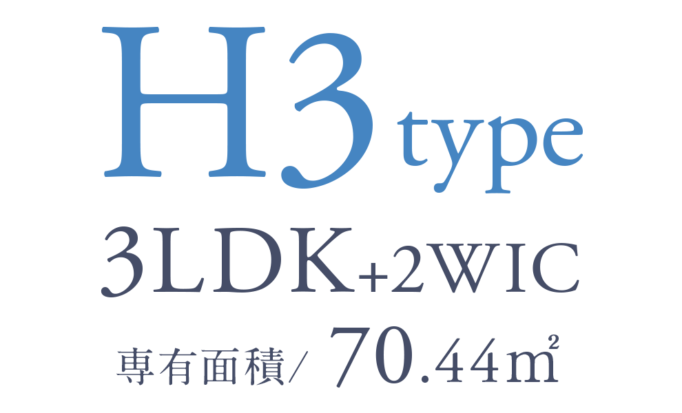 H3 type