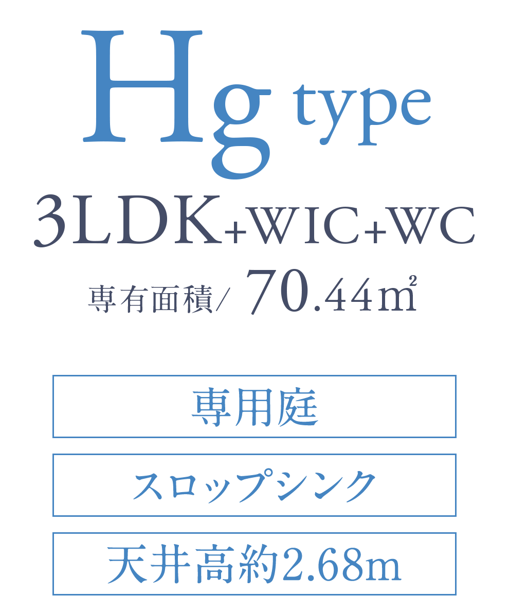 Hg type