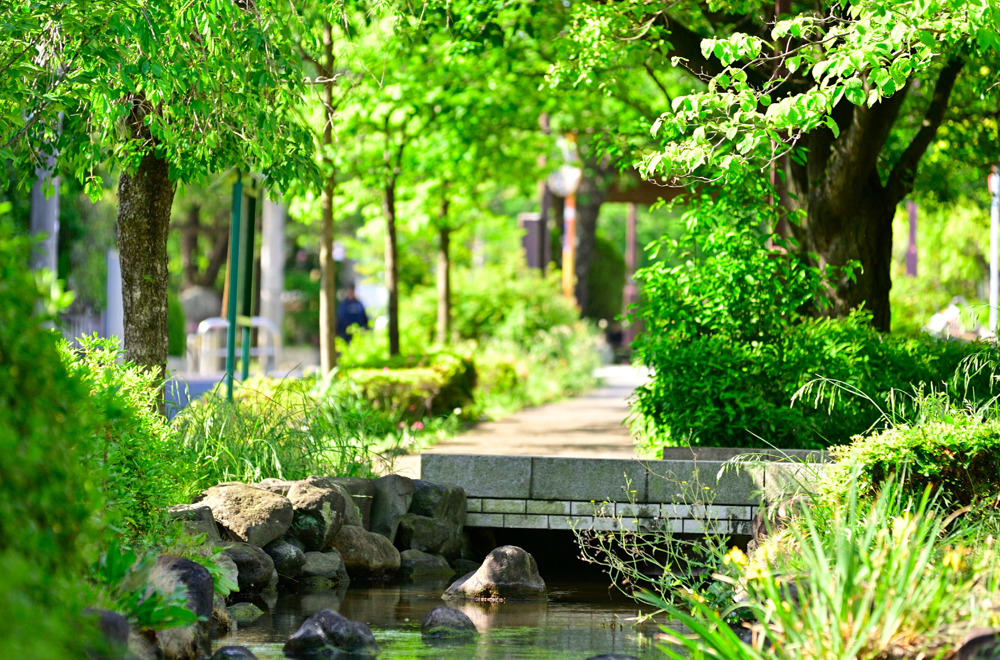 一之江境川親水公園