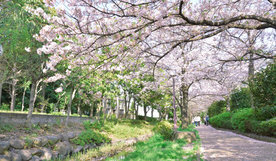 一之江境川親水公園