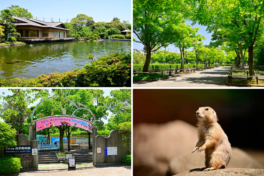 区立行船公園