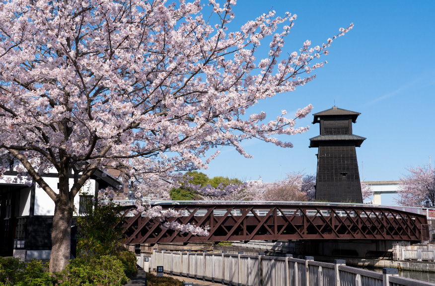 新川千本桜