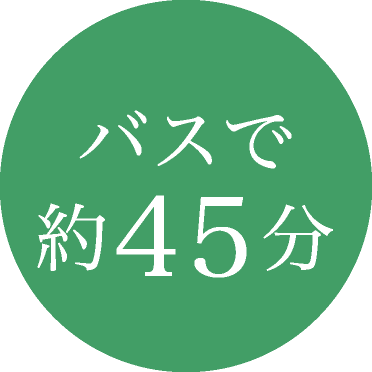 バスで約45分