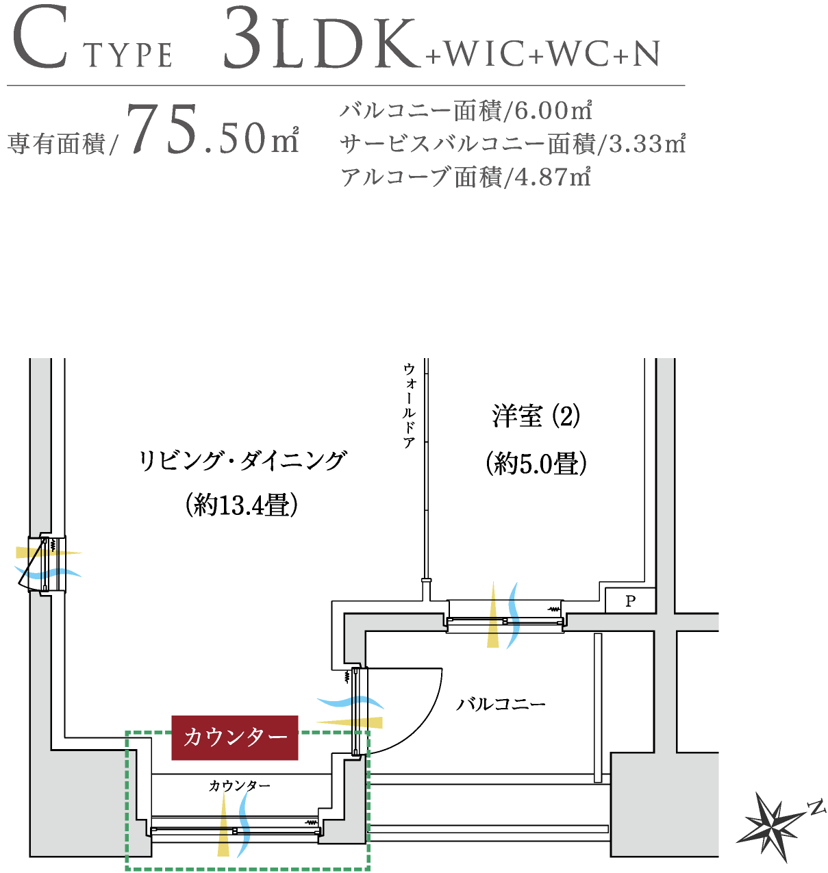 C TYPE