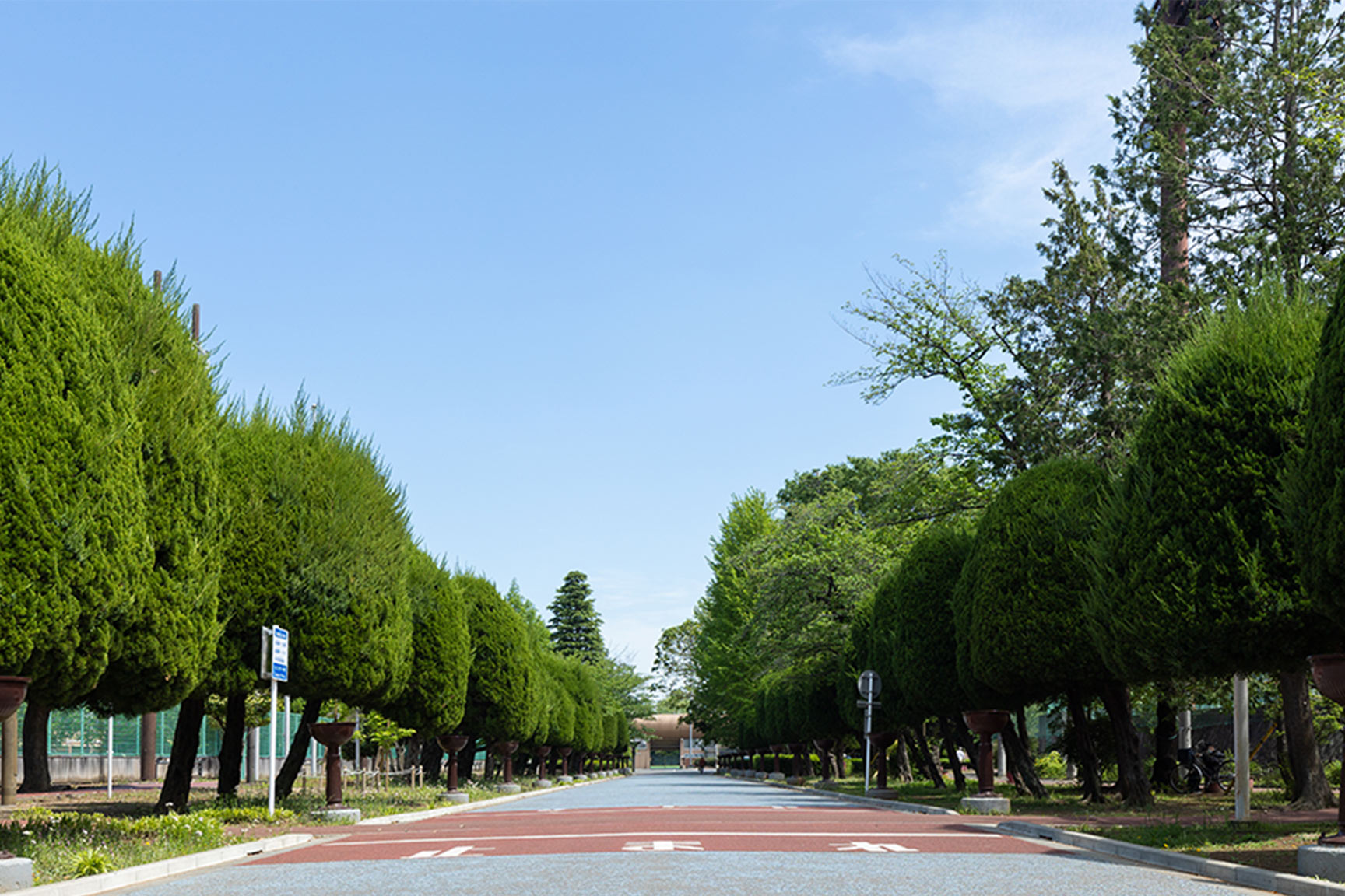 青木町公園総合運動場