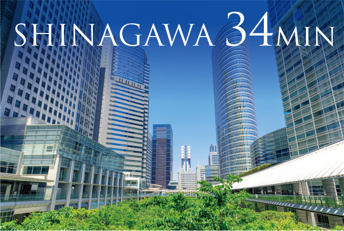 SHINAGAWA 34min.