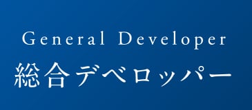 総合デベロッパー