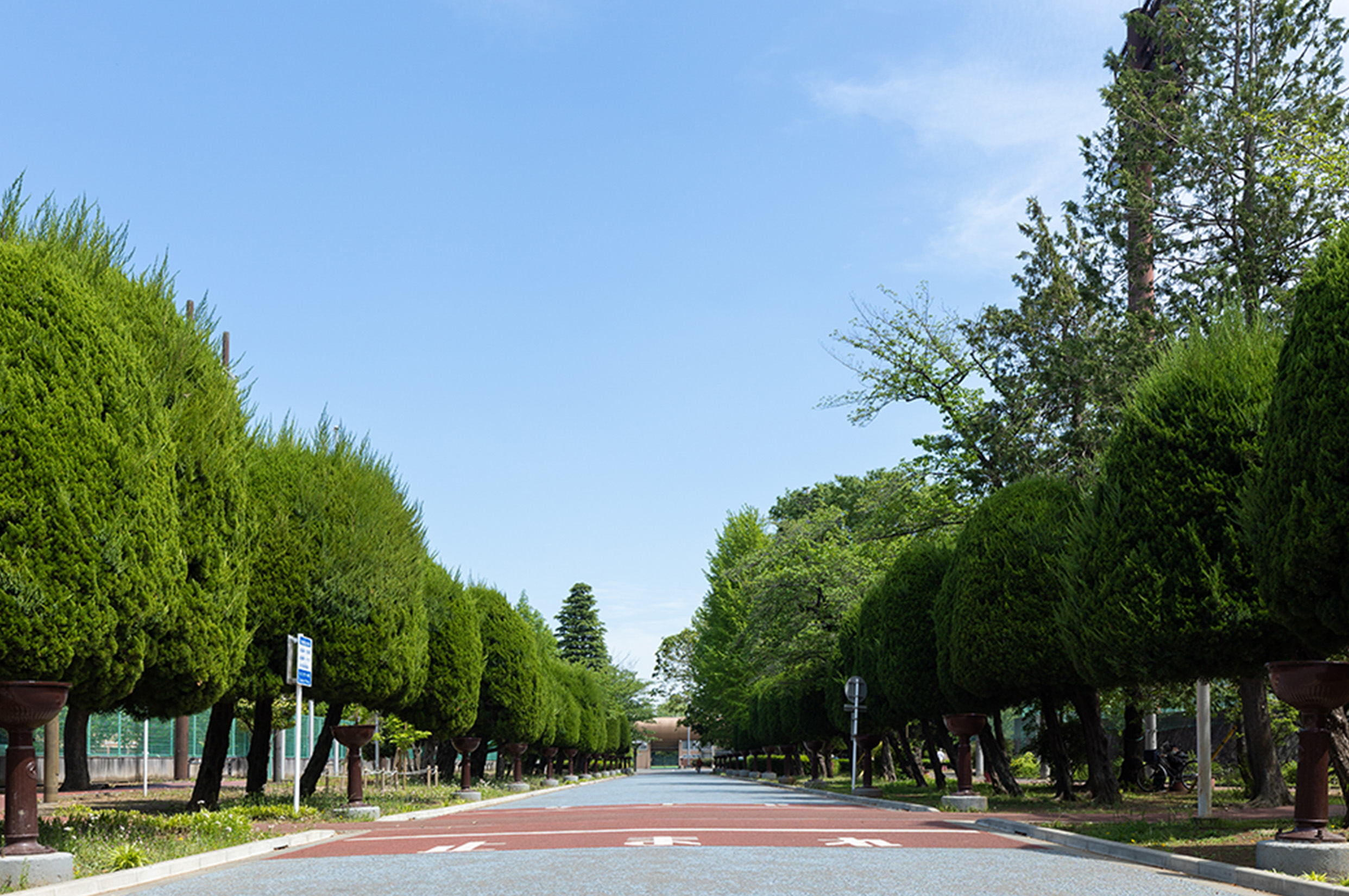 青木町公園総合運動場