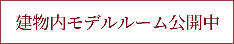 建物内モデルルーム公開中