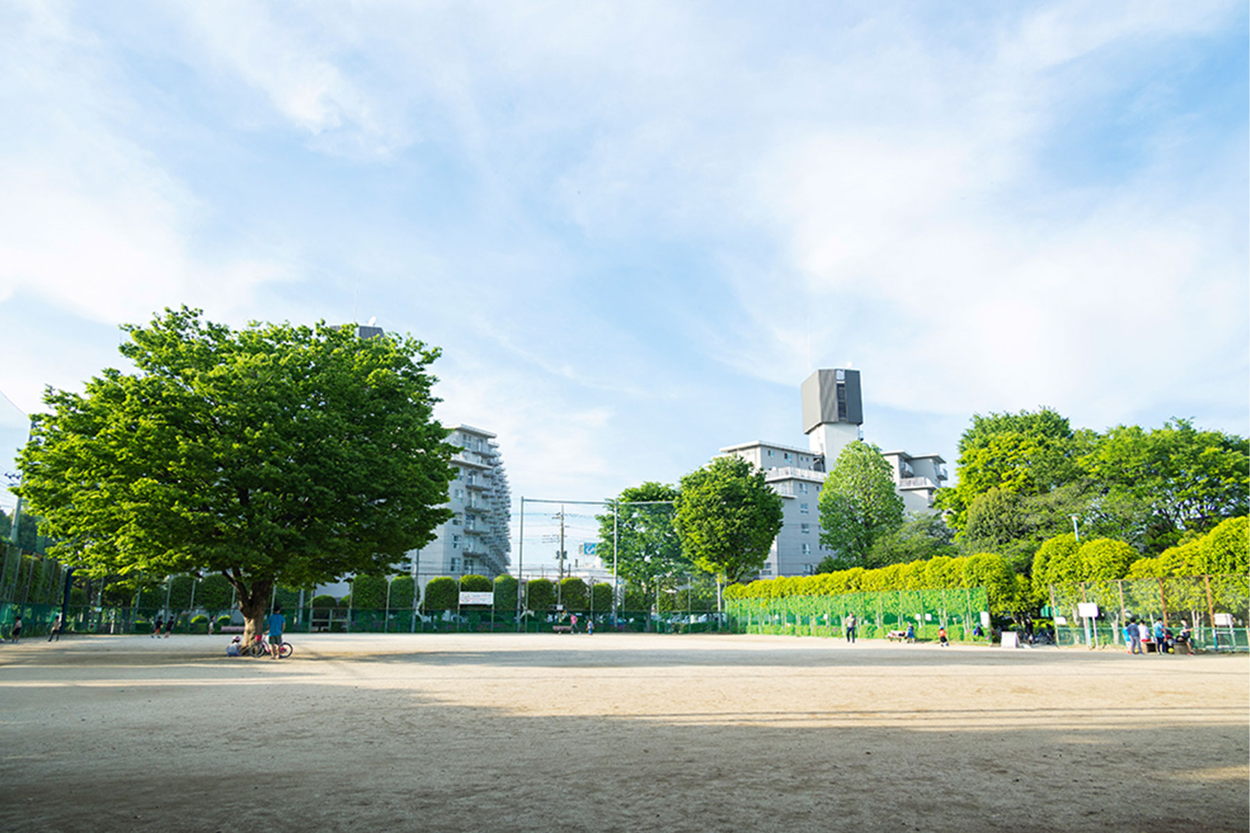 中青木公園