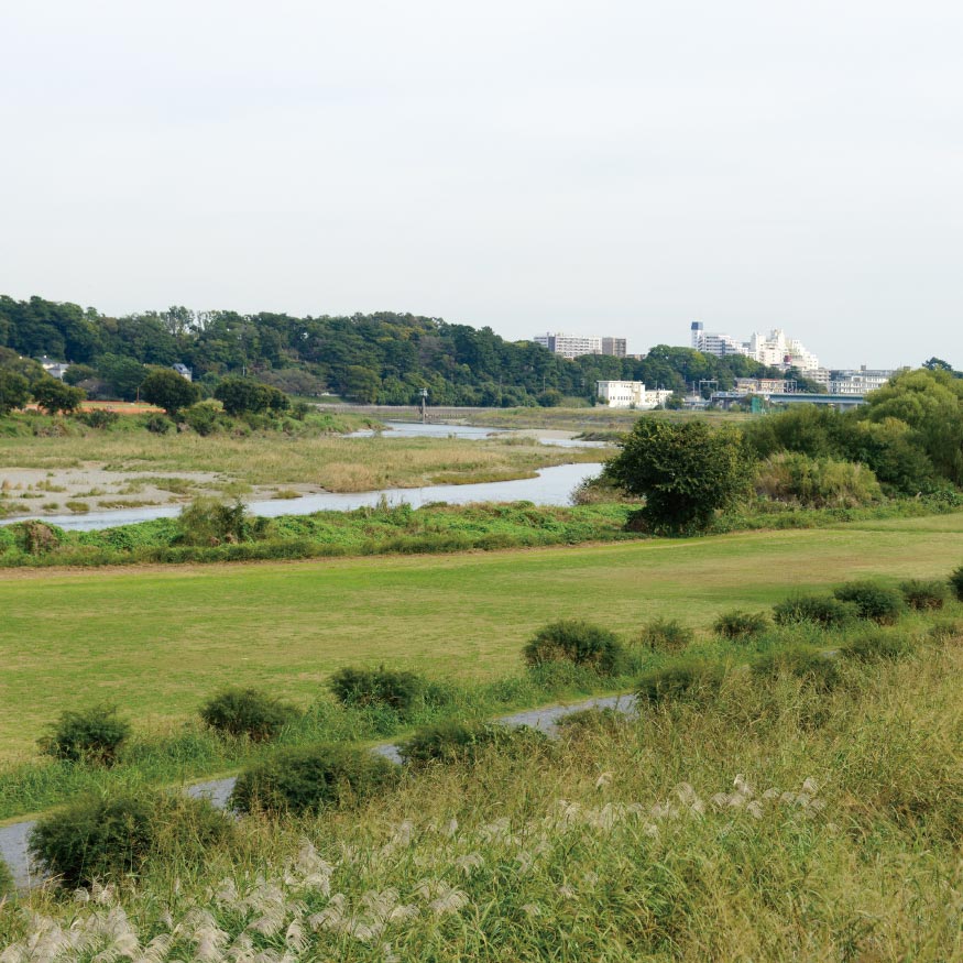 多摩川緑地