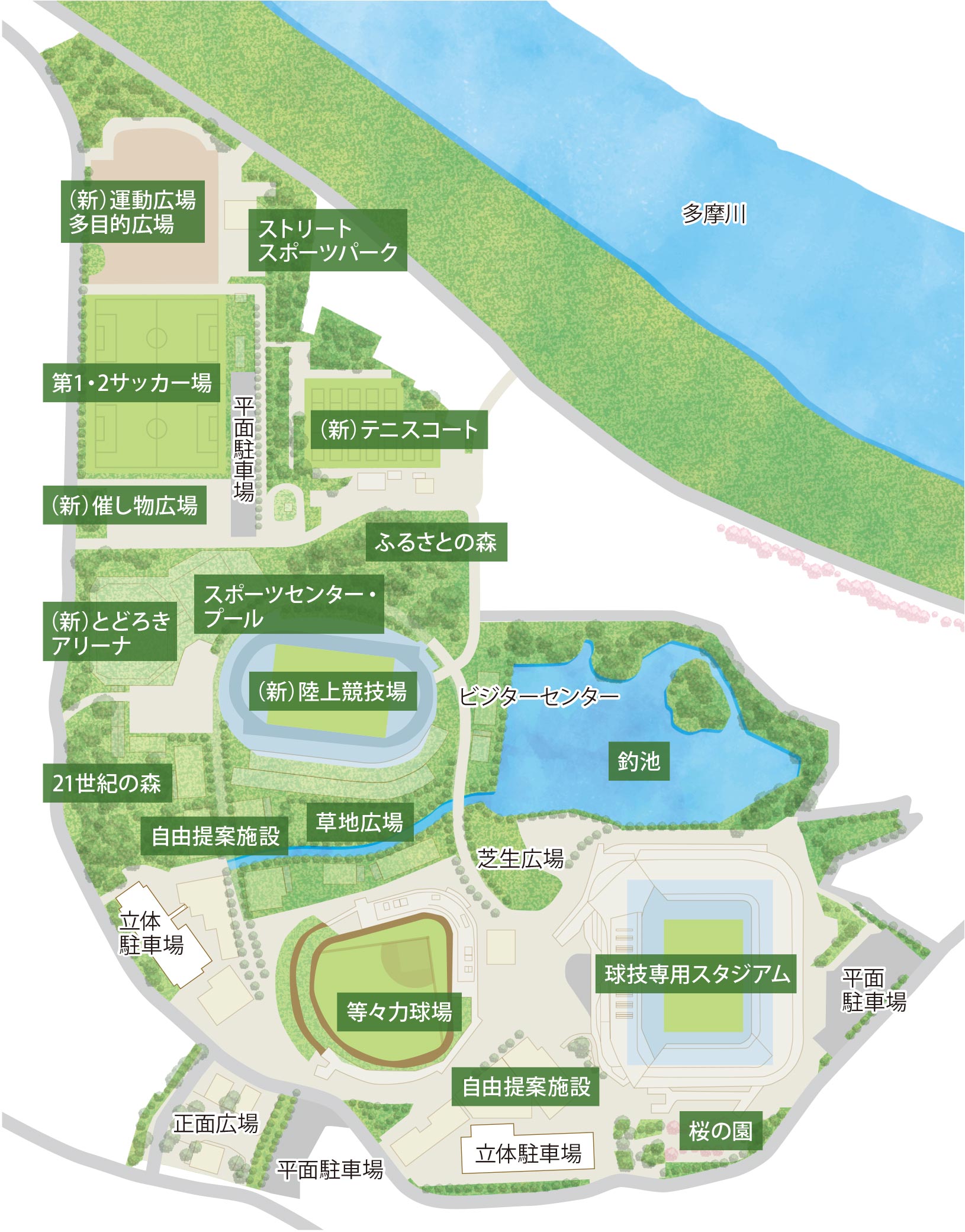 等々力緑地再整備イメージイラスト