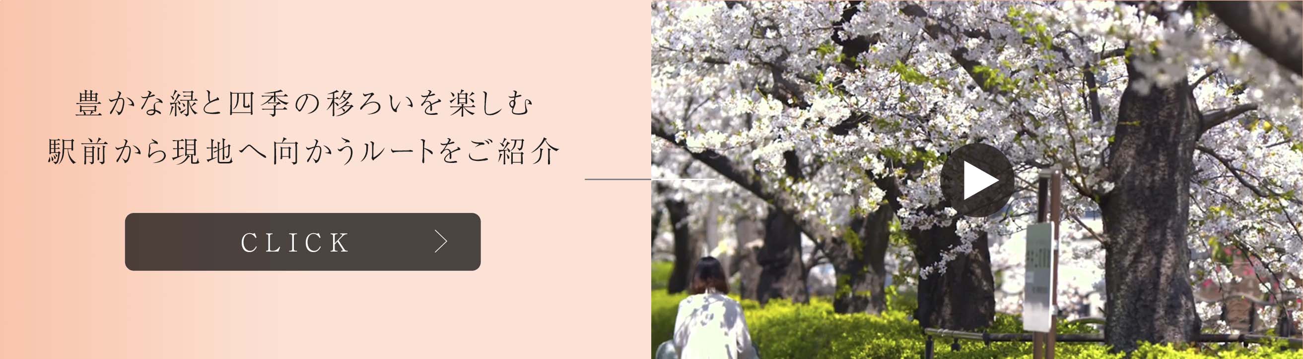 豊かな緑と四季の移ろいを楽しむ武蔵小杉の魅力をご紹介