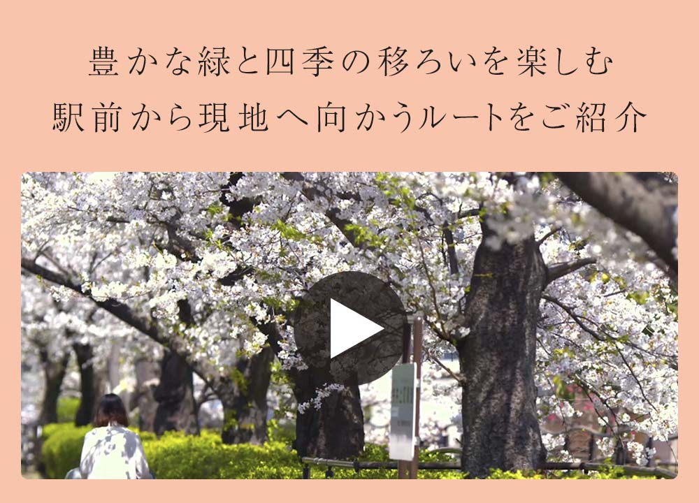 豊かな緑と四季の移ろいを楽しむ武蔵小杉の魅力をご紹介