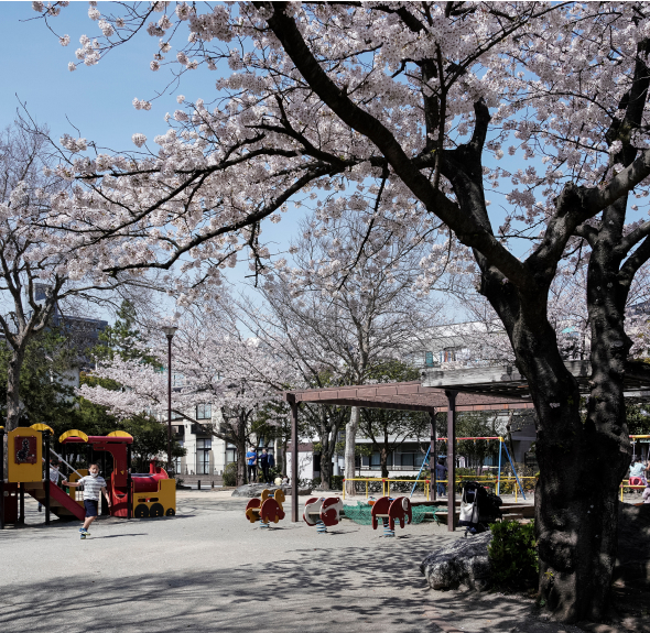 南篠崎つつじ公園