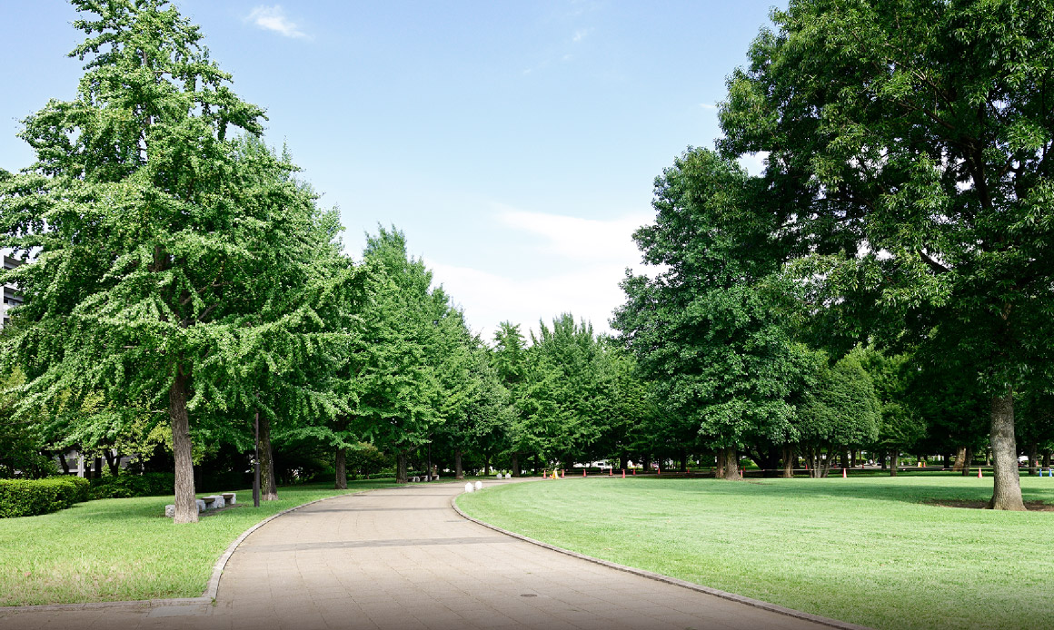 武蔵国分寺公園