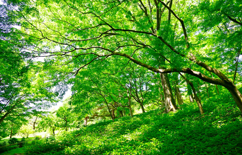 都立殿ヶ谷戸庭園 