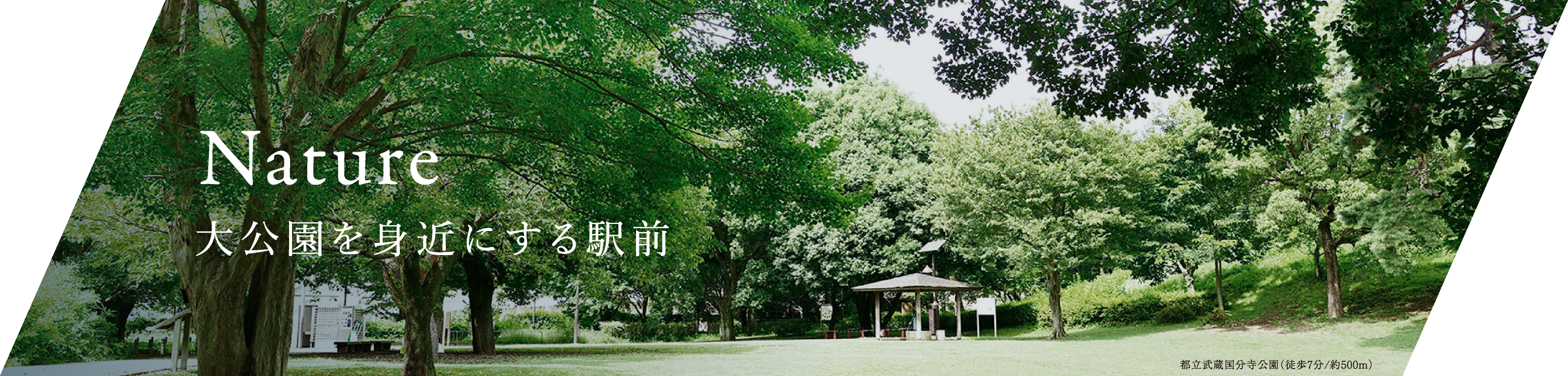 都立武蔵国分寺公園