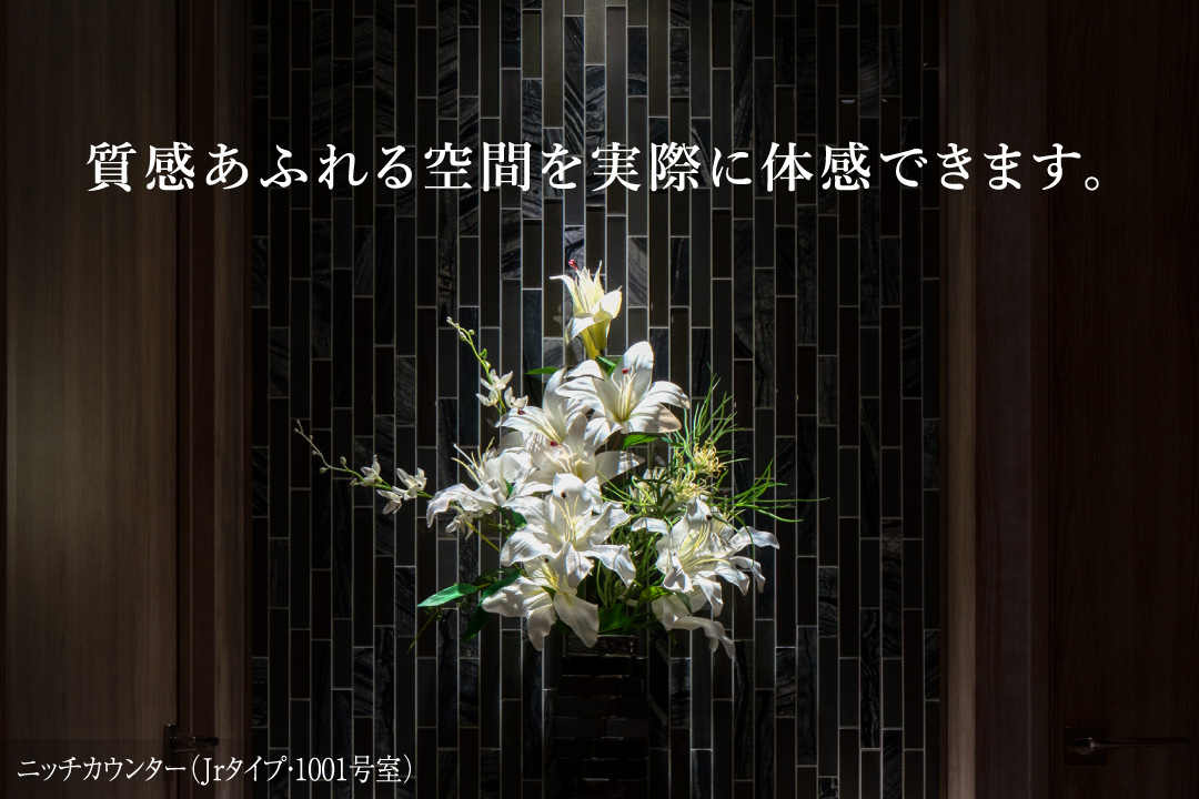 ニッチカウンター（Jrタイプ・1001号室） 