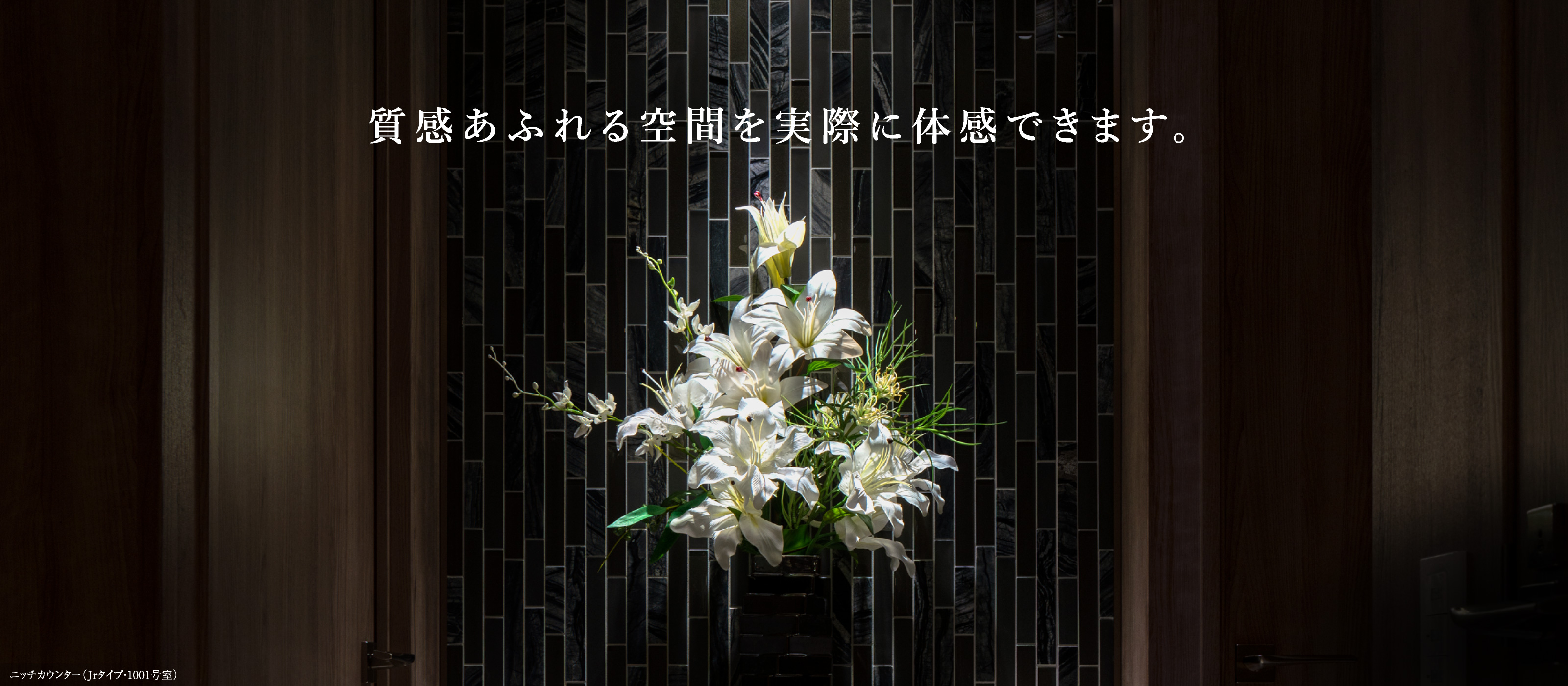 ニッチカウンター（Jrタイプ・1001号室） 